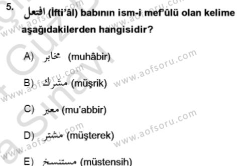 Osmanlı Türkçesi Grameri 1 Dersi 2023 - 2024 Yılı (Vize) Ara Sınavı 5. Soru