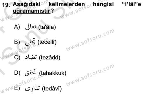 Osmanlı Türkçesi Grameri 1 Dersi 2023 - 2024 Yılı (Final) Dönem Sonu Sınavı 19. Soru