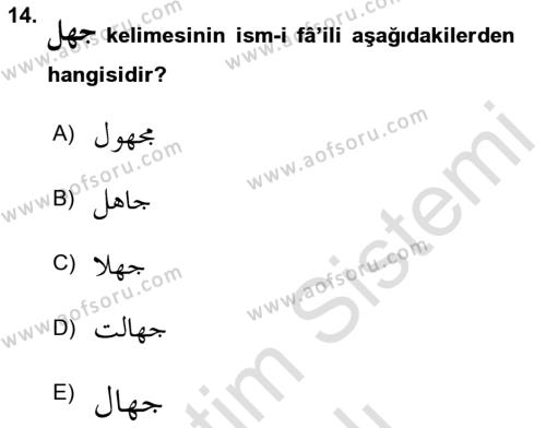 Osmanlı Türkçesi Grameri 1 Dersi 2023 - 2024 Yılı Yaz Okulu Sınavı 14. Soru