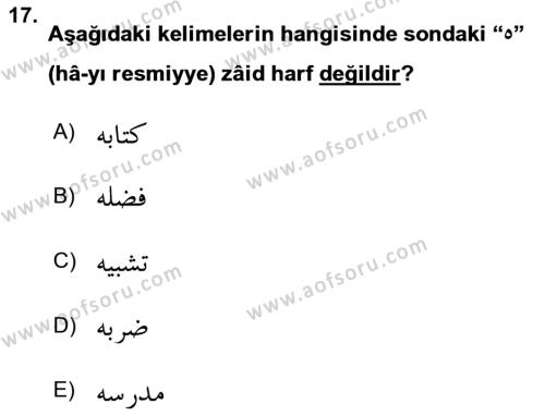 Osmanlı Türkçesi Grameri 1 Dersi 2023 - 2024 Yılı Yaz Okulu Sınavı 17. Soru