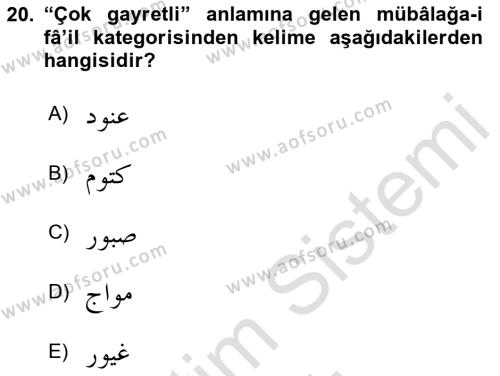 Osmanlı Türkçesi Grameri 1 Dersi 2023 - 2024 Yılı Yaz Okulu Sınavı 20. Soru