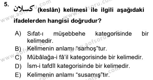 Osmanlı Türkçesi Grameri 1 Dersi 2023 - 2024 Yılı Yaz Okulu Sınavı 5. Soru