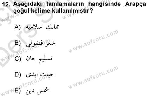 Osmanlı Türkçesi Grameri 2 Dersi 2018 - 2019 Yılı 3 Ders Sınavı 12. Soru