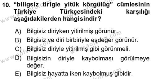 XI-XIII. Yüzyıllar Türk Dili Dersi 2018 - 2019 Yılı (Vize) Ara Sınavı 10. Soru