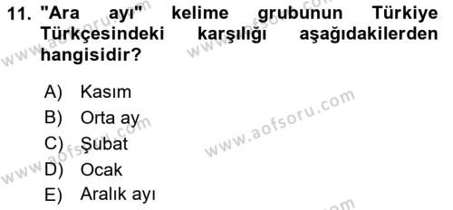 XI-XIII. Yüzyıllar Türk Dili Dersi 2018 - 2019 Yılı Yaz Okulu Sınavı 11. Soru