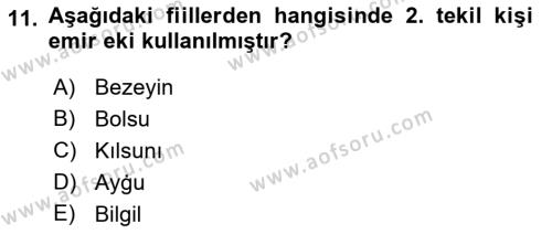 XI-XIII. Yüzyıllar Türk Dili Dersi 2019 - 2020 Yılı (Vize) Ara Sınavı 11. Soru