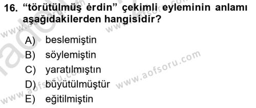 XI-XIII. Yüzyıllar Türk Dili Dersi 2019 - 2020 Yılı (Vize) Ara Sınavı 16. Soru