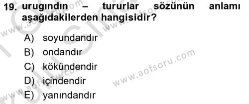 XI-XIII. Yüzyıllar Türk Dili Dersi 2020 - 2021 Yılı Yaz Okulu Sınavı 19. Soru