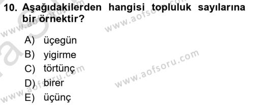 XI-XIII. Yüzyıllar Türk Dili Dersi 2021 - 2022 Yılı (Vize) Ara Sınavı 10. Soru