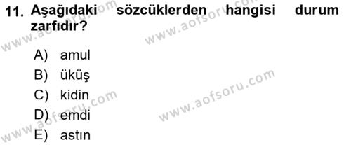 XI-XIII. Yüzyıllar Türk Dili Dersi 2021 - 2022 Yılı (Vize) Ara Sınavı 11. Soru