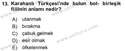 XI-XIII. Yüzyıllar Türk Dili Dersi 2021 - 2022 Yılı (Vize) Ara Sınavı 13. Soru