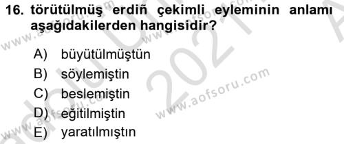 XI-XIII. Yüzyıllar Türk Dili Dersi 2021 - 2022 Yılı (Vize) Ara Sınavı 16. Soru