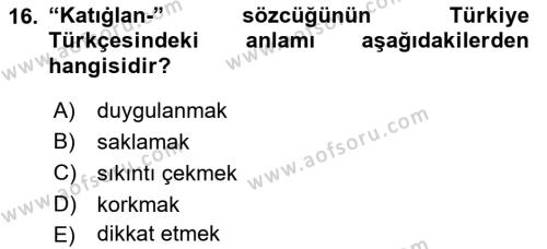 XI-XIII. Yüzyıllar Türk Dili Dersi 2021 - 2022 Yılı Yaz Okulu Sınavı 16. Soru