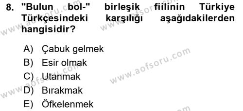 XI-XIII. Yüzyıllar Türk Dili Dersi 2021 - 2022 Yılı Yaz Okulu Sınavı 8. Soru