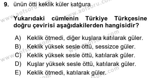 XI-XIII. Yüzyıllar Türk Dili Dersi 2021 - 2022 Yılı Yaz Okulu Sınavı 9. Soru