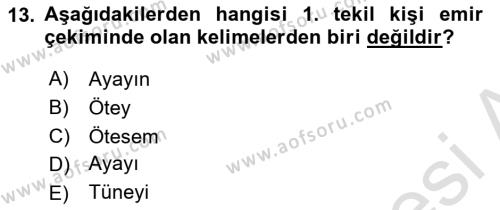 XI-XIII. Yüzyıllar Türk Dili Dersi 2022 - 2023 Yılı (Vize) Ara Sınavı 13. Soru