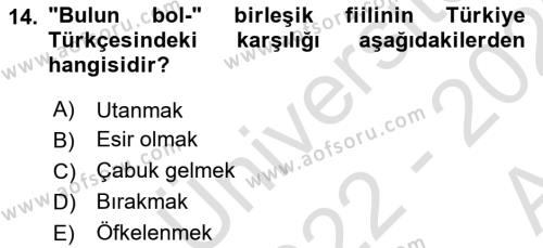 XI-XIII. Yüzyıllar Türk Dili Dersi 2022 - 2023 Yılı (Vize) Ara Sınavı 14. Soru