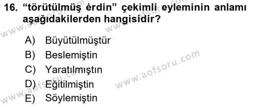 XI-XIII. Yüzyıllar Türk Dili Dersi 2022 - 2023 Yılı (Vize) Ara Sınavı 16. Soru