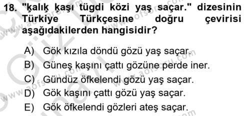 XI-XIII. Yüzyıllar Türk Dili Dersi 2022 - 2023 Yılı (Vize) Ara Sınavı 18. Soru