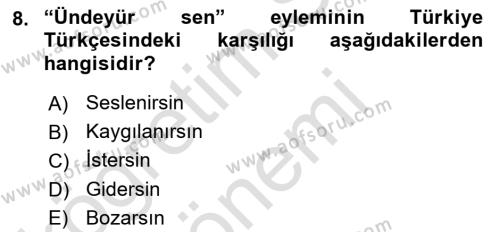 XI-XIII. Yüzyıllar Türk Dili Dersi 2022 - 2023 Yılı (Final) Dönem Sonu Sınavı 8. Soru