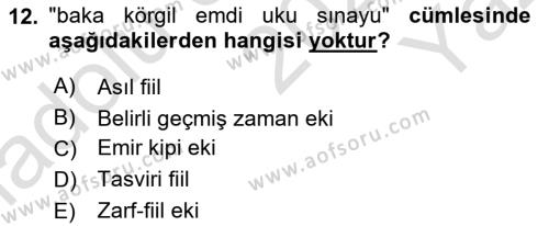 XI-XIII. Yüzyıllar Türk Dili Dersi 2022 - 2023 Yılı Yaz Okulu Sınavı 12. Soru