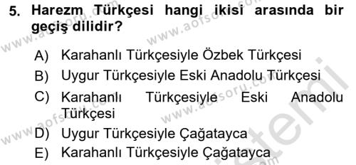 XI-XIII. Yüzyıllar Türk Dili Dersi 2022 - 2023 Yılı Yaz Okulu Sınavı 5. Soru