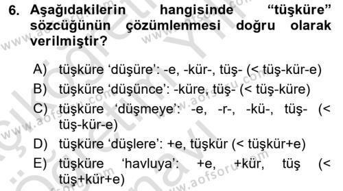 XI-XIII. Yüzyıllar Türk Dili Dersi 2022 - 2023 Yılı Yaz Okulu Sınavı 6. Soru