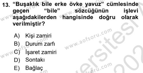 XI-XIII. Yüzyıllar Türk Dili Dersi 2023 - 2024 Yılı (Vize) Ara Sınavı 13. Soru