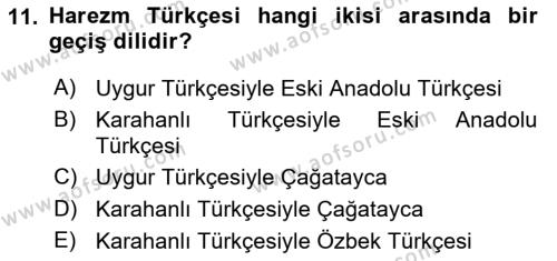 XI-XIII. Yüzyıllar Türk Dili Dersi 2023 - 2024 Yılı Yaz Okulu Sınavı 11. Soru