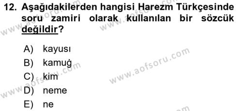 XI-XIII. Yüzyıllar Türk Dili Dersi 2023 - 2024 Yılı Yaz Okulu Sınavı 12. Soru