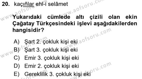 XIV-XV. Yüzyıllar Türk Dili Dersi 2015 - 2016 Yılı (Final) Dönem Sonu Sınavı 20. Soru