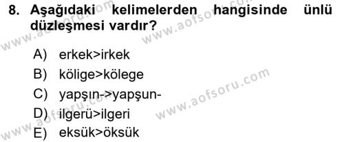 XIV-XV. Yüzyıllar Türk Dili Dersi 2015 - 2016 Yılı (Final) Dönem Sonu Sınavı 8. Soru