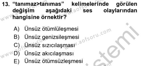 XIV-XV. Yüzyıllar Türk Dili Dersi 2016 - 2017 Yılı 3 Ders Sınavı 13. Soru