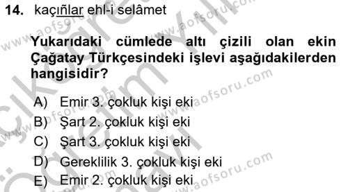 XIV-XV. Yüzyıllar Türk Dili Dersi 2016 - 2017 Yılı 3 Ders Sınavı 14. Soru