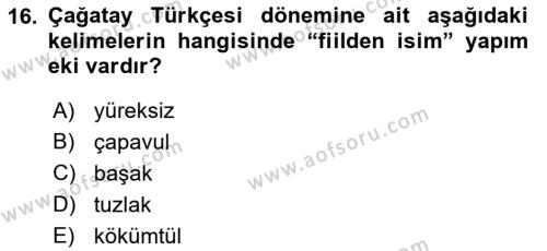 XIV-XV. Yüzyıllar Türk Dili Dersi 2016 - 2017 Yılı 3 Ders Sınavı 16. Soru