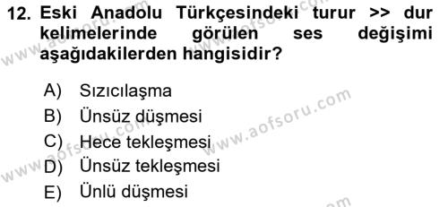 XIV-XV. Yüzyıllar Türk Dili Dersi 2016 - 2017 Yılı (Vize) Ara Sınavı 12. Soru