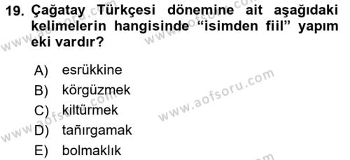 XIV-XV. Yüzyıllar Türk Dili Dersi 2016 - 2017 Yılı (Final) Dönem Sonu Sınavı 19. Soru