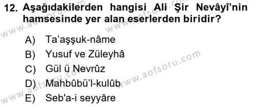 XIV-XV. Yüzyıllar Türk Dili Dersi 2017 - 2018 Yılı 3 Ders Sınavı 12. Soru