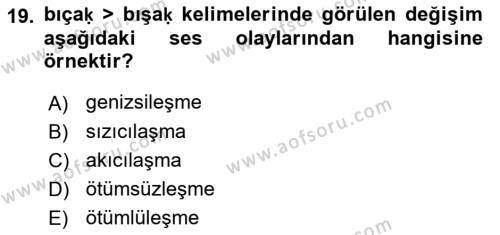 XIV-XV. Yüzyıllar Türk Dili Dersi 2017 - 2018 Yılı 3 Ders Sınavı 19. Soru