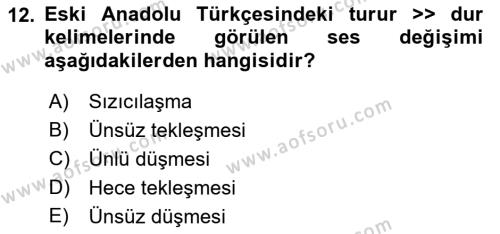 XIV-XV. Yüzyıllar Türk Dili Dersi 2017 - 2018 Yılı (Vize) Ara Sınavı 12. Soru