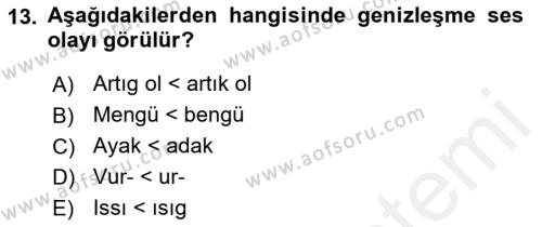 XIV-XV. Yüzyıllar Türk Dili Dersi 2017 - 2018 Yılı (Vize) Ara Sınavı 13. Soru