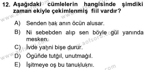 XIV-XV. Yüzyıllar Türk Dili Dersi 2018 - 2019 Yılı 3 Ders Sınavı 12. Soru