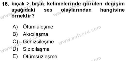 XIV-XV. Yüzyıllar Türk Dili Dersi 2018 - 2019 Yılı 3 Ders Sınavı 16. Soru