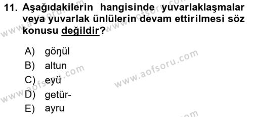 XIV-XV. Yüzyıllar Türk Dili Dersi 2018 - 2019 Yılı (Vize) Ara Sınavı 11. Soru