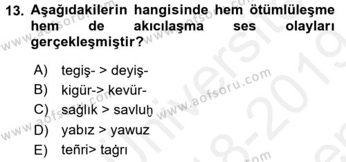 XIV-XV. Yüzyıllar Türk Dili Dersi 2018 - 2019 Yılı (Final) Dönem Sonu Sınavı 13. Soru