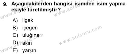 XIV-XV. Yüzyıllar Türk Dili Dersi 2018 - 2019 Yılı (Final) Dönem Sonu Sınavı 9. Soru