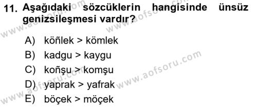 XIV-XV. Yüzyıllar Türk Dili Dersi 2018 - 2019 Yılı Yaz Okulu Sınavı 11. Soru