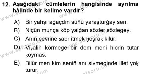 XIV-XV. Yüzyıllar Türk Dili Dersi 2018 - 2019 Yılı Yaz Okulu Sınavı 12. Soru