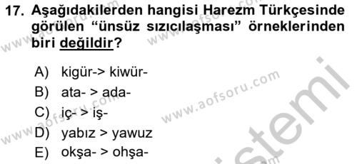 XIV-XV. Yüzyıllar Türk Dili Dersi 2018 - 2019 Yılı Yaz Okulu Sınavı 17. Soru