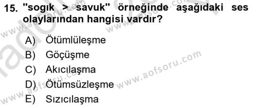 XIV-XV. Yüzyıllar Türk Dili Dersi 2020 - 2021 Yılı Yaz Okulu Sınavı 15. Soru